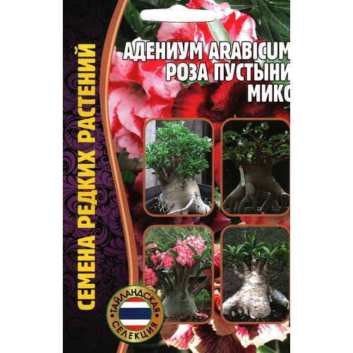 Адениум роза пустыни Микс, комнатный многолетник ( 1 уп: 3 семени ) адениум роза пустыни микс arabicum 3 семени х 1 упаковка семена редких растений