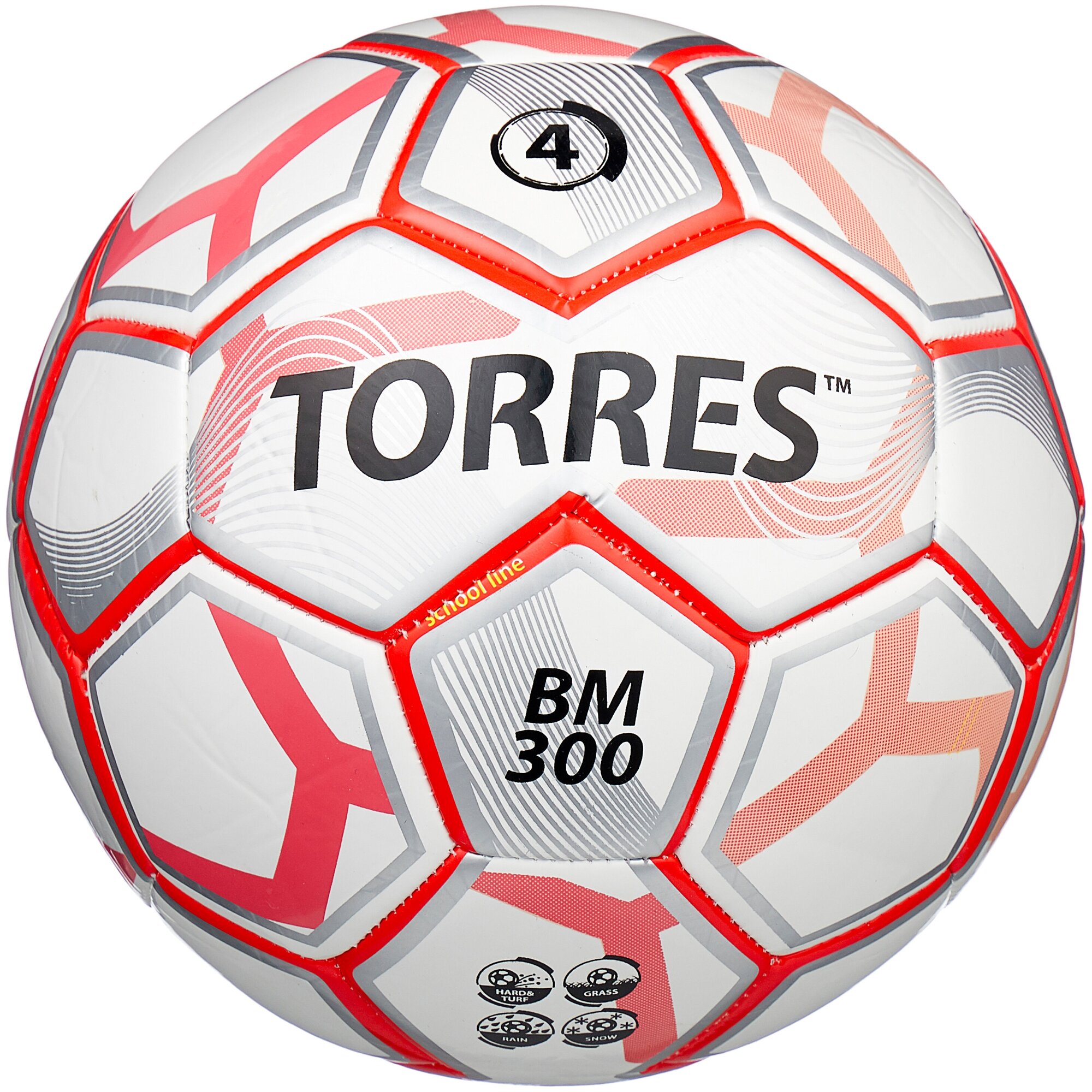  / Torres BM300 .F30744 .4