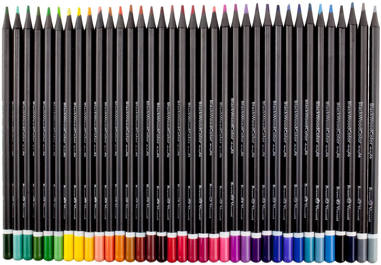 Bruno Visconti Карандаши цветные BlackWoodColor, 36 цветов 30-0101, 36 шт.