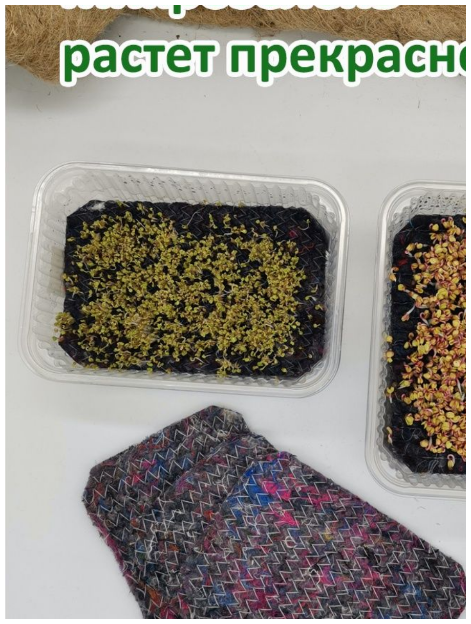 NEO коврик (мягкий) для выращивания микрозелени, высокая всхожесть семян - фотография № 2