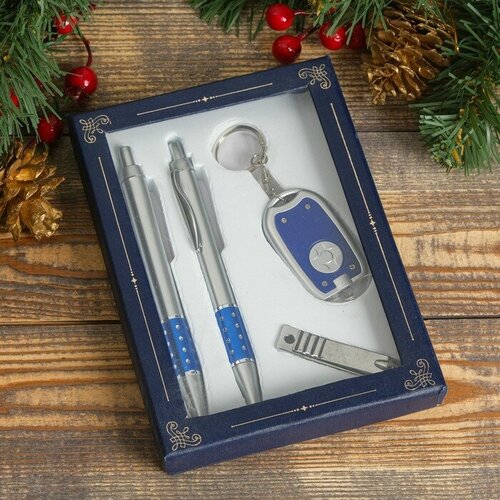 SUI Набор подарочный 4в1 2 ручки кусачки фонарик синий 504₽