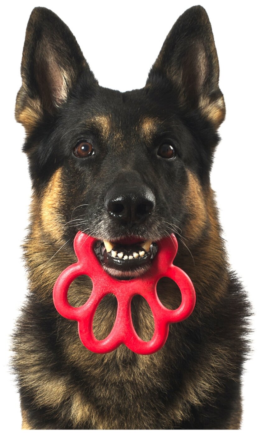 BAMA PET игрушка для собак ORMA BIG 16,5см, резина, цвета в енте . - фотография № 6