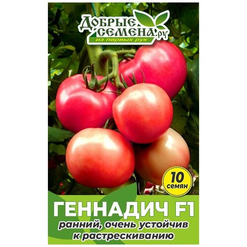 Семена томата Геннадич F1 - 10 шт - Добрые Семена. ру
