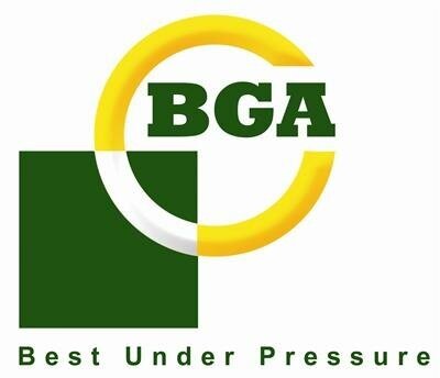 BGA 1279044 Комплект цепи ГРМ Citroen C4 2011-, C4 Grand Picasso 2010-2012, C4 Picasso 2010-2013, C5 2009-2013, DS3 2011-, DS4 2011-2012