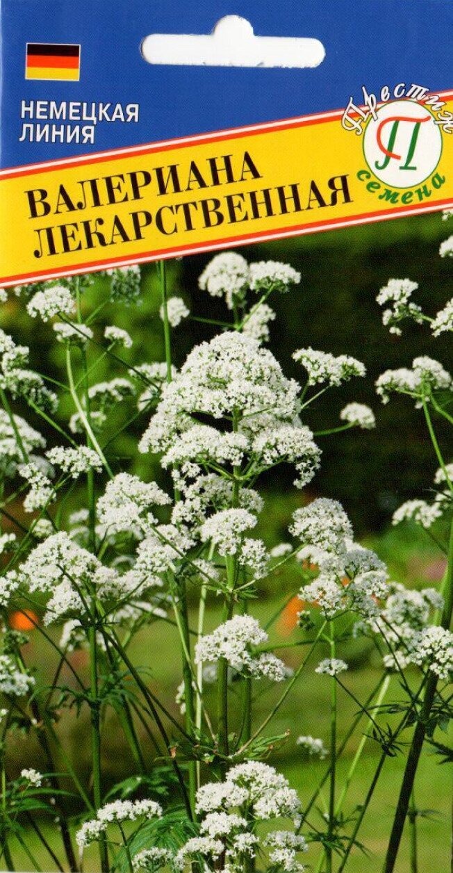 Валериана лекарственная Кардиола. Семена. Многолетнее растение высотой до 100 см. Листья и корни используют в фармакологии