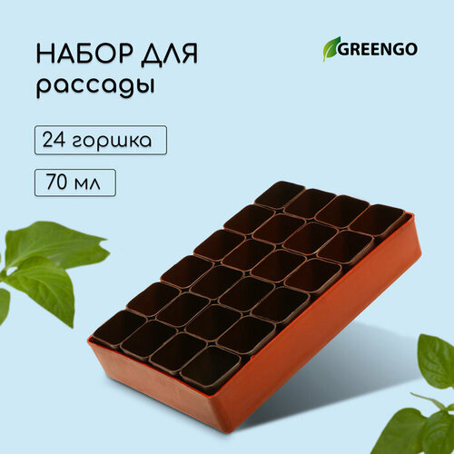 Набор для рассады: стаканы по 70 мл (24 шт.), поддон 29,5 × 20 см, микс