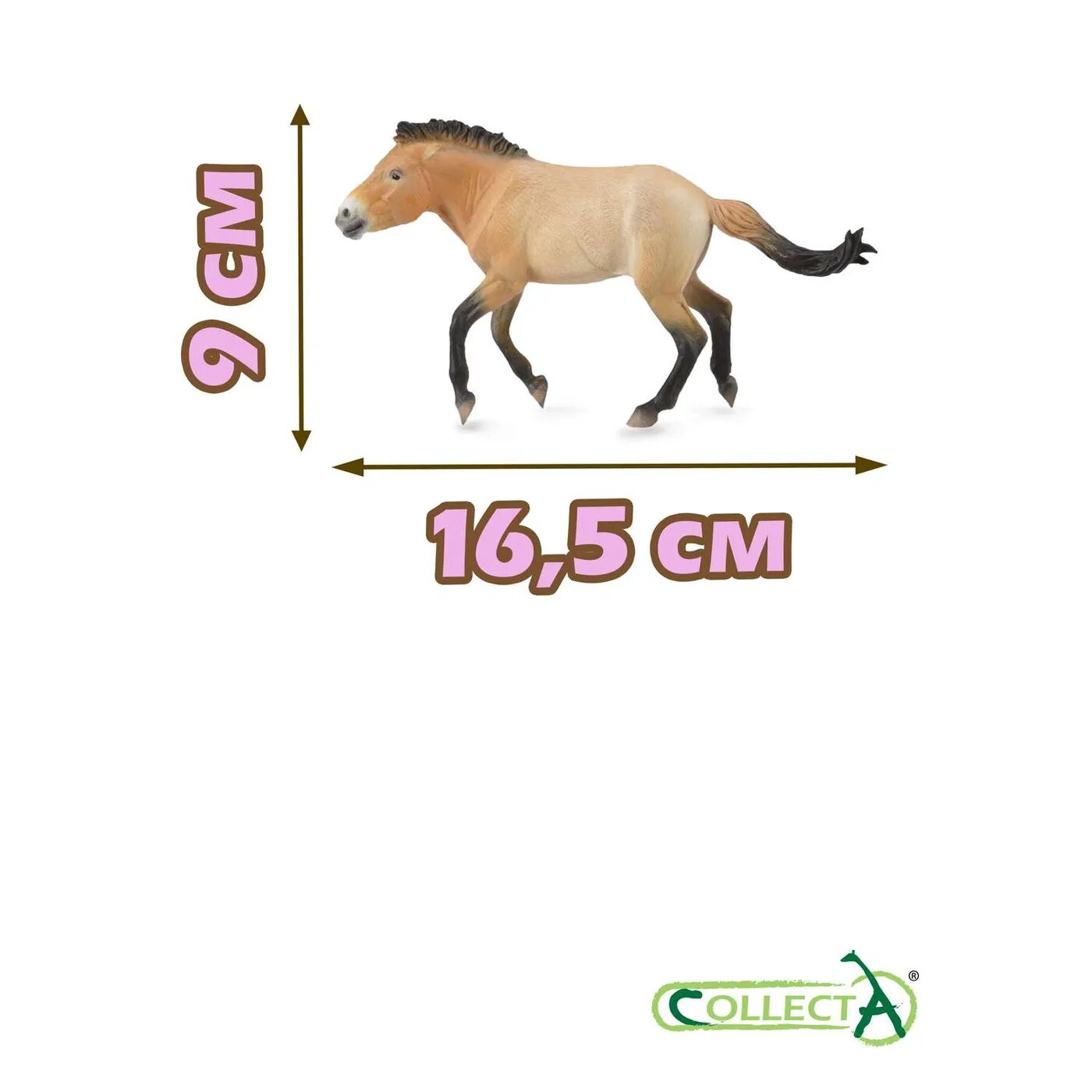 Фигурка животного Collecta лошадь Жеребец Пржевальского