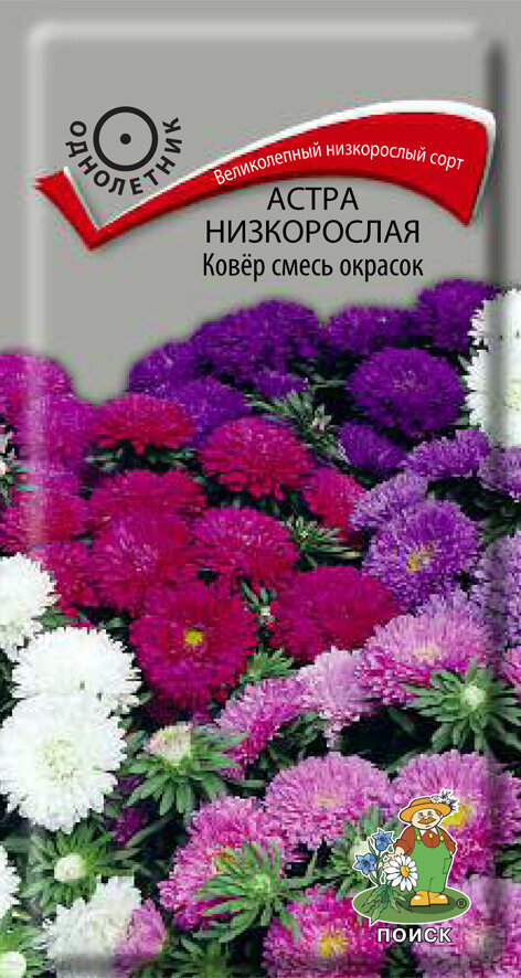 Семена астры 