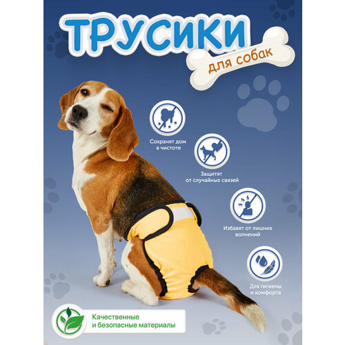Трусы BIG tiny, для собак, впитывающие, многоразовые, желтые/Подгузники для собак крупных пород размер L