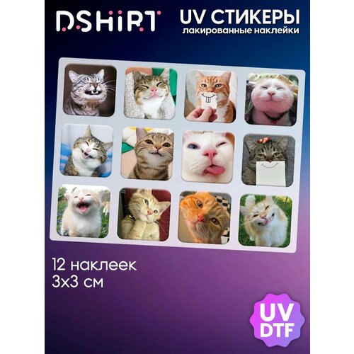 3D стикеры на телефон Котики 12 штук