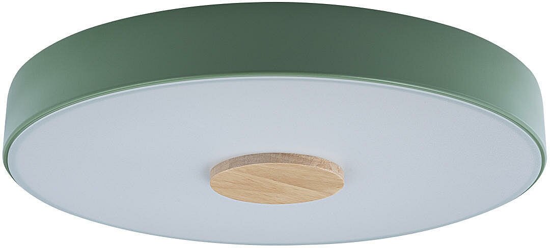 Светильник потолочный Loft It Axel 10003/24 Green, LED, 24Вт, кол-во ламп:1шт, Зеленый