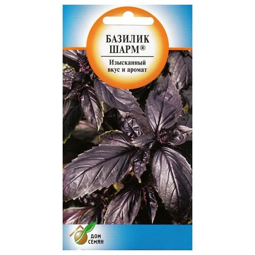 Семена Базилик фиолетовый Шарм 130шт для дачи, сада, огорода, теплицы / рассады в домашних условиях