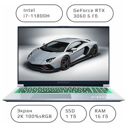 Игровой ноутбук Machenike F117-7 156 I7-11800H RTX 3060 6G 16G RAM 1024G SSD Win Pro 10856000₽