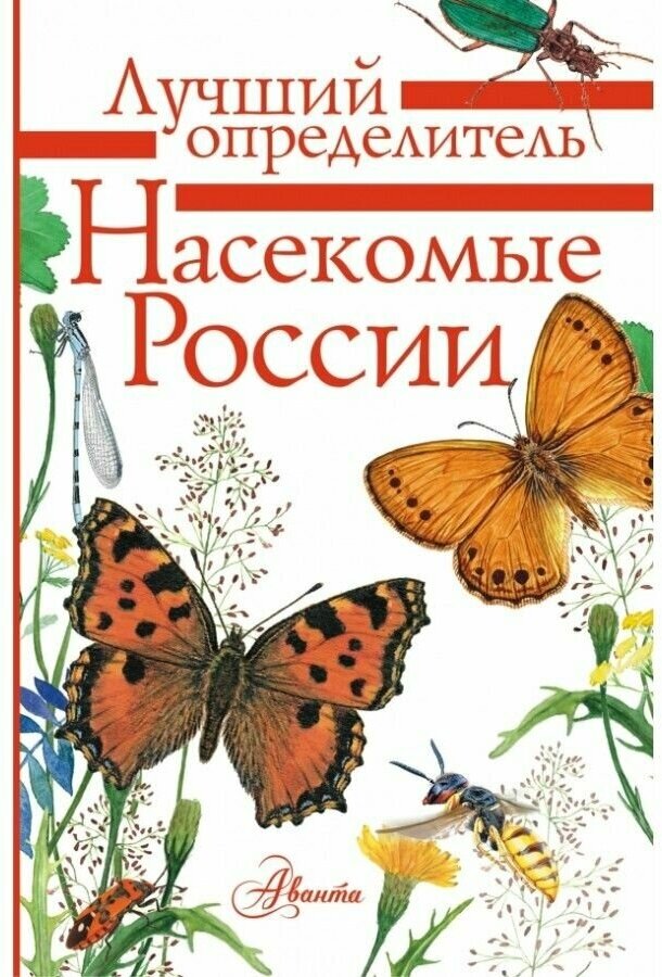 Насекомые России (Полевод Владимир Анатольевич, Гомыранов Илья Алексеевич) - фото №1