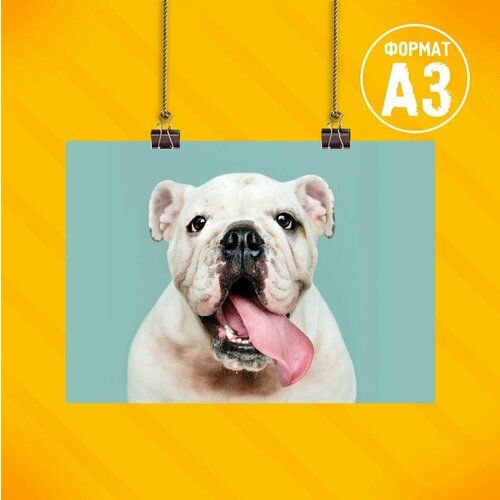 Плакат на стену 