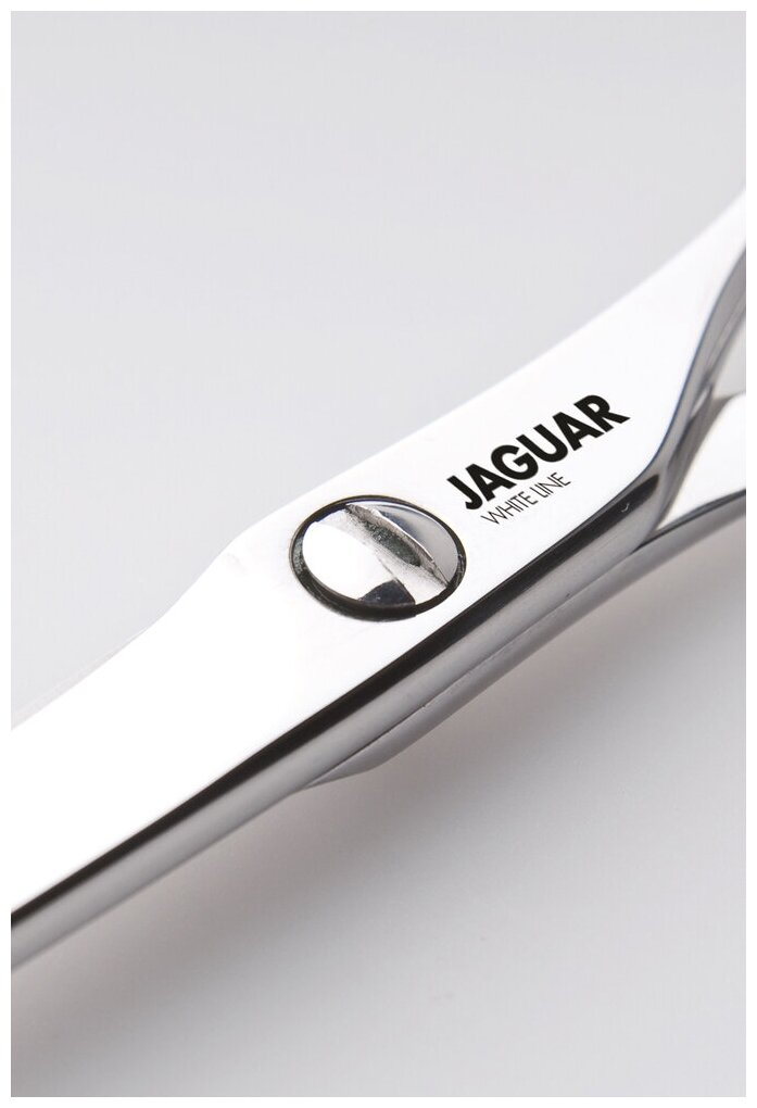JAGUAR Ножницы Jaguar Silver Ice 5,5'(14cm)WL - фото №3
