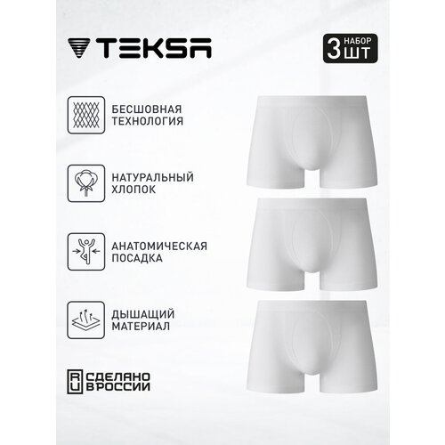 Трусы Teksa, 3 шт., размер XL, серый