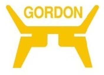 GORDON GD3342GL GD3342GL_5 E39 00- решетка В капоте L хром-черный