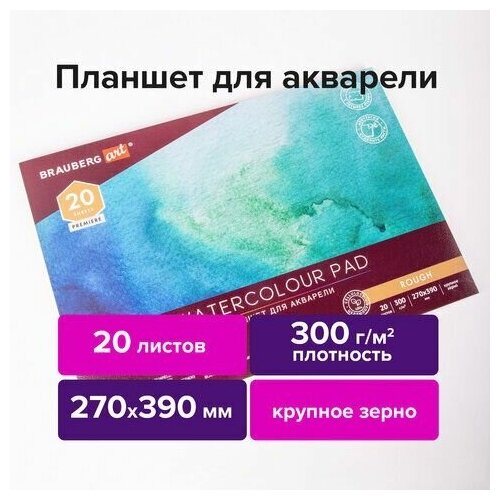 Папка для акварели/планшет, 300 г/м2, 270х390 мм, склейка, крупное зерно, 20 л, BRAUBERG ART PREMIERE, 113250