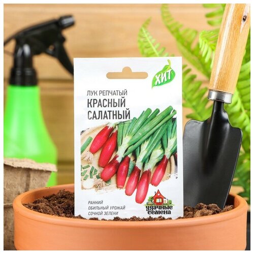 Семена Лук на зелень репчатый Красный салатный, 0,5 г серия ХИТ х3 тюльпан бело фиолетовый попугай 5 луковиц 12