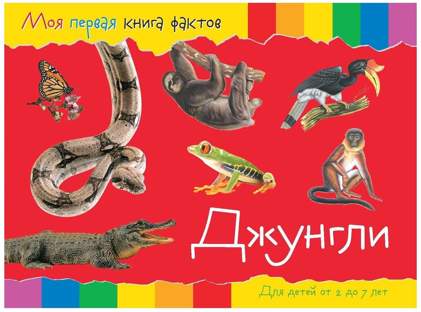 Книга развивающая ND Play Моя первая книга фактов, Джунгли (978-5-9068-4322-7)