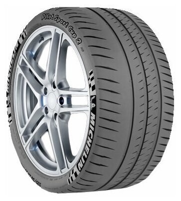 Шина Michelin Pilot Sport Cup 2 315/30R21 105Y