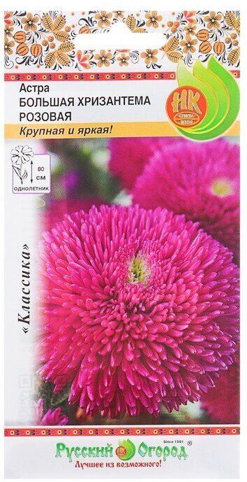 Семена цветов Астра "Большая хризантема" розовая, серия Русский огород, О, 50 шт