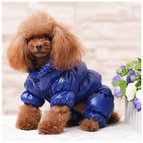 Kуртка-комбинезон зимняя Парка для собак, цвет синий, размеры L