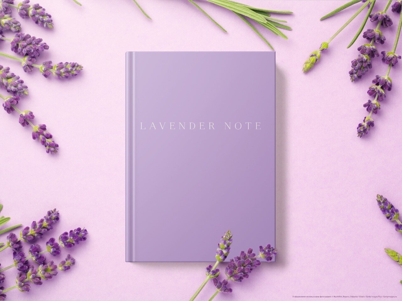 Lavender Note - фото №1