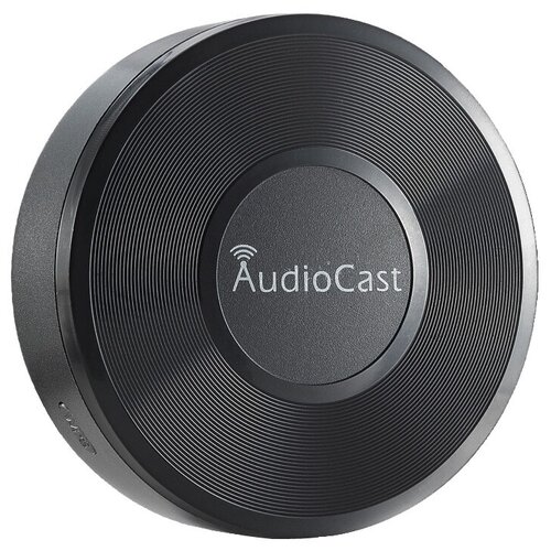 Сетевой аудиоплеер iEAST AudioCast черный 449000₽