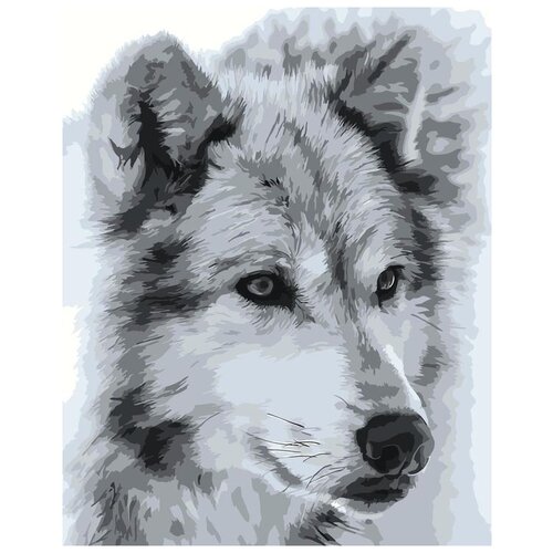 Картина по номерам «Одинокий волк», 40x50 см, Живопись по Номерам картина по номерам одинокий волк 40x50 см живопись по номерам