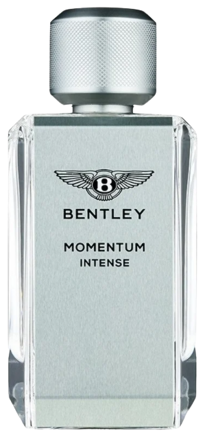 Парфюмерная вода Bentley Momentum Intense for men, 60 мл