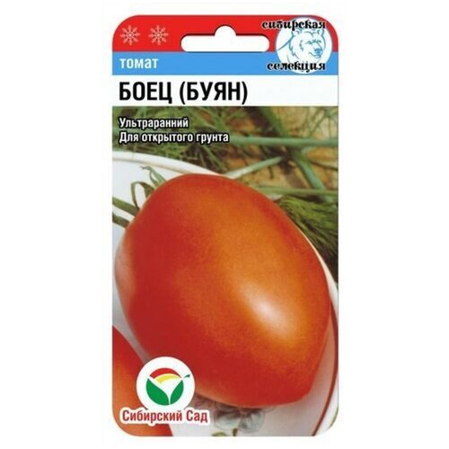 Семена Сибирский Сад Боец (Буян) томат ультраранний 20 шт.