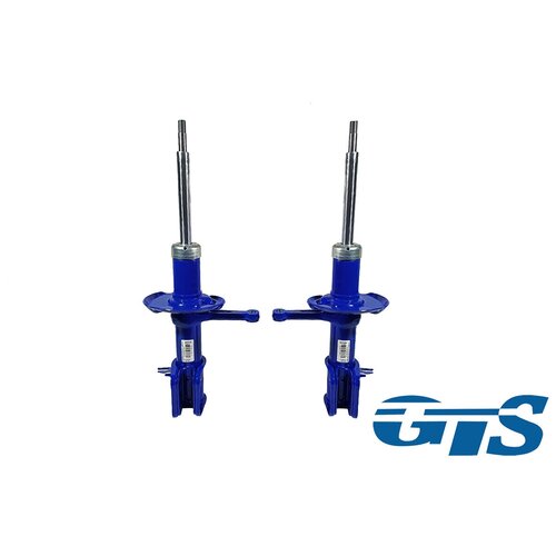 Стойки передней подвески 2190 Гранта Sport асоми газомасленные - 40мм 11789₽