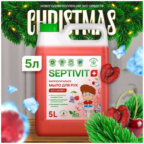 Жидкое мыло для рук Ice Cherry SEPTIVIT Premium / Гипоаллергенное, детское мыло Септивит, 5л детское жидкое мыло для рук bubble gum septivit premium мыло туалетное детское септивит гипоаллергенное детское мыло 5л