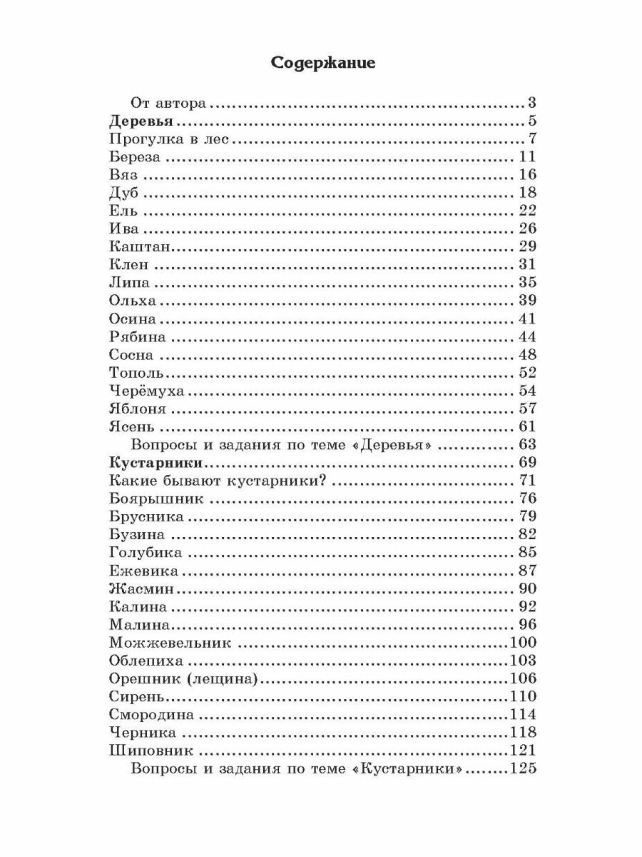 Беседы о деревьях и кустарниках с детьми 5-8 лет - фото №3