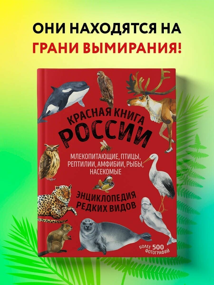 Красная книга России животные растения птицы насекомые Энциклопедия редких видов - фото №10