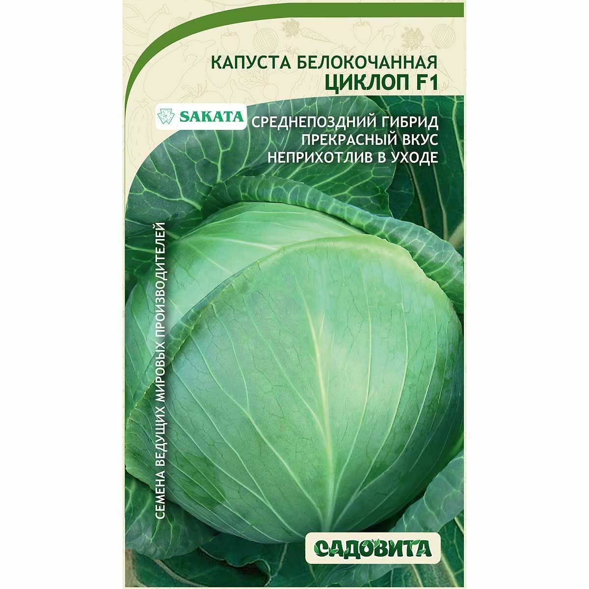 Капуста Циклоп белокачанная F1 10 семян/ Sakata/ Японская селекция
