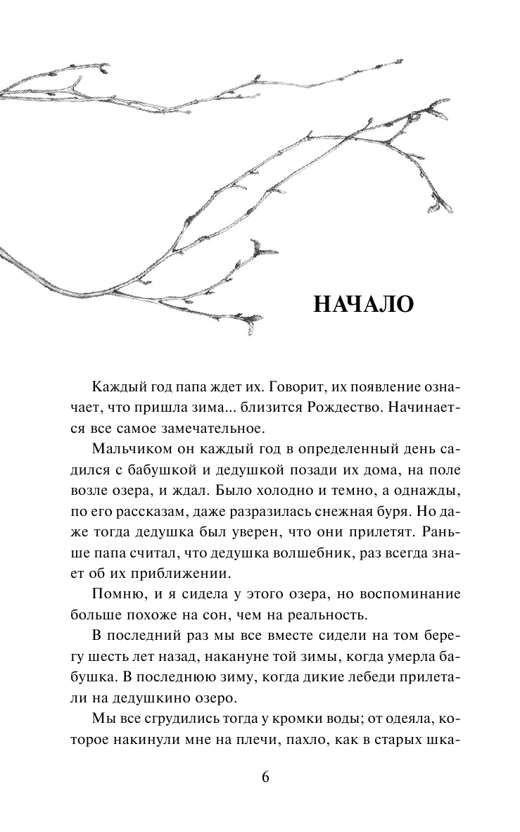 Словно птица (Люси Кристофер, Татьяна Артюхова, переводчик) - фото №5