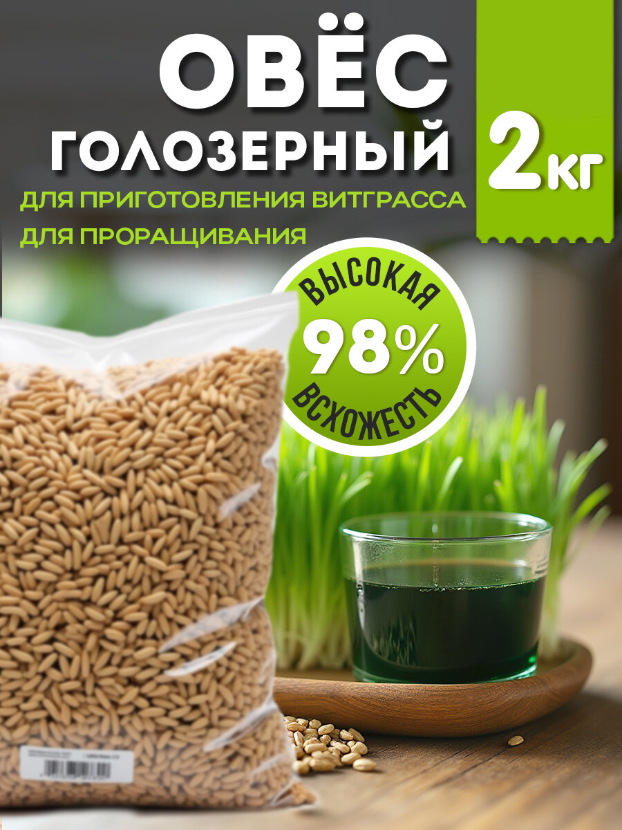 Овес голозерный зерно семена для проращивания, 2 кг