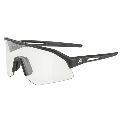 Солнцезащитные очки Alpina, black