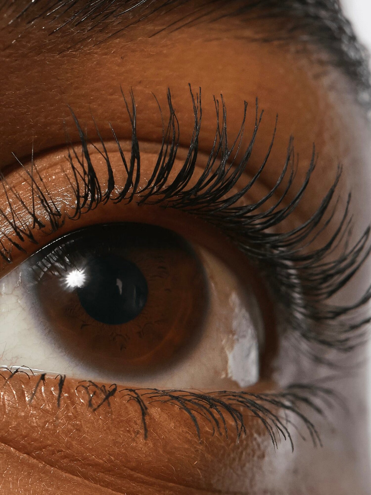 REFY Тушь для ресниц Lash Sculpt Mascara 10 мл — фото 1