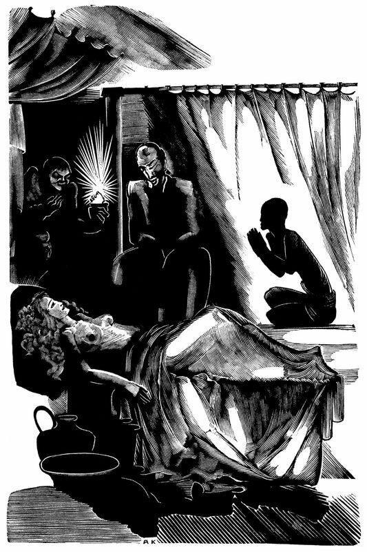 Новеллы — фото 1