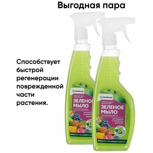 Зеленое мыло с пихтовым экстрактом (БиоМастер) 0,5 л х 2шт (1 л )