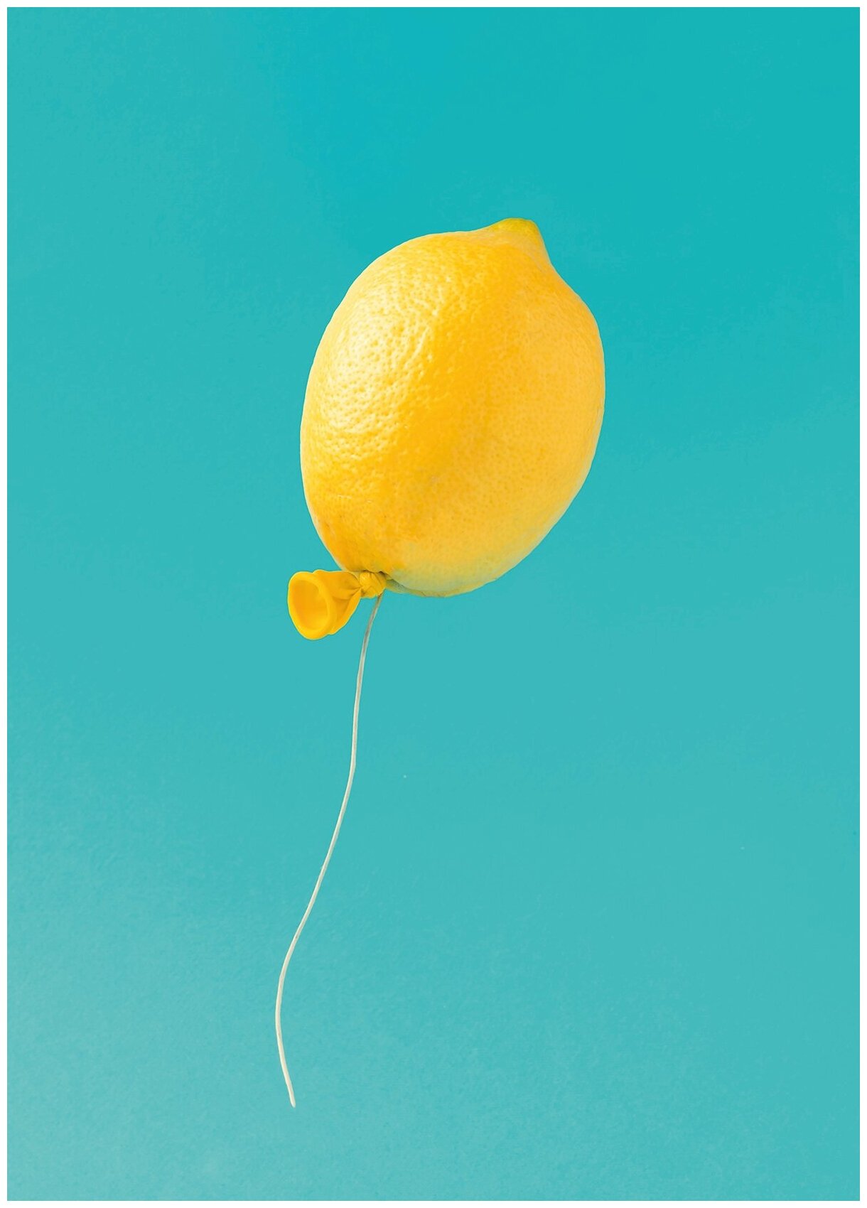 Постер / Плакат / Картина на холсте Лимон
