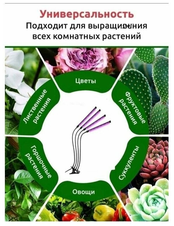 Фитолампа для растений и рассады, светодиодная - фотография № 4