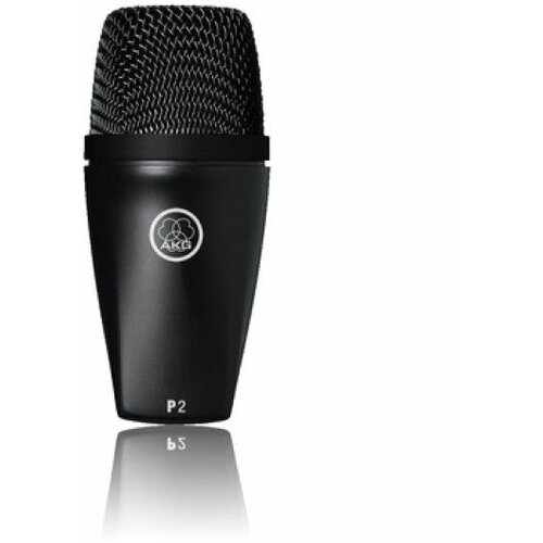 Микрофон инструментальный AKG P2