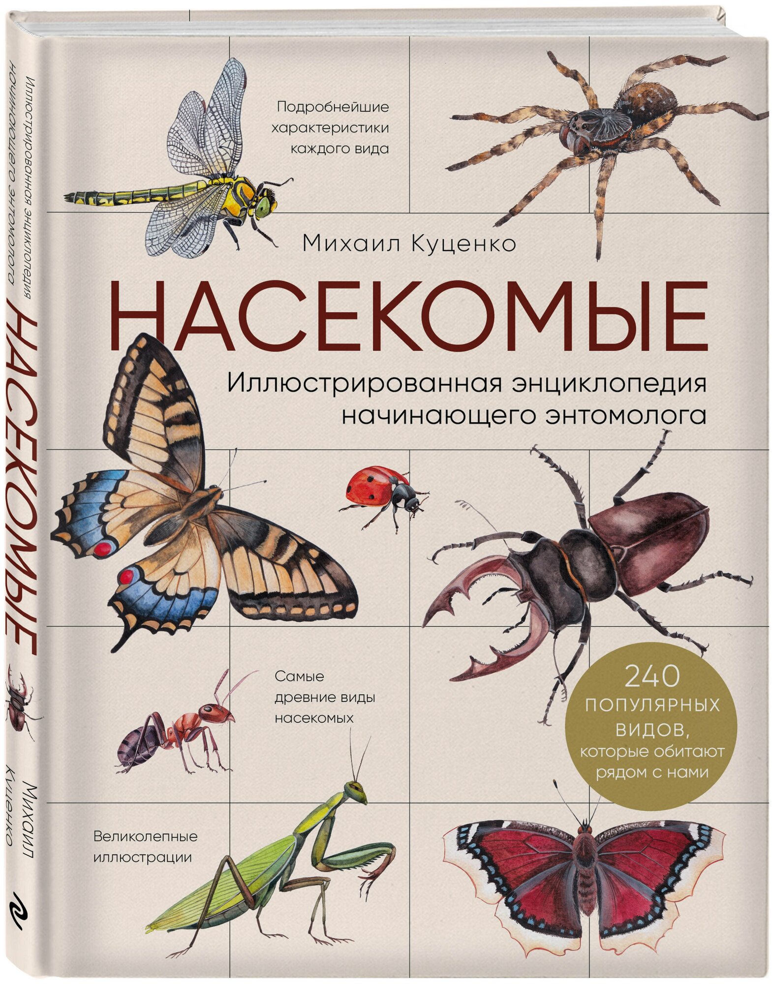 Насекомые. Иллюстрированная энциклопедия начинающего энтомолога. 240 популярных видов, которые обитают рядом с нами