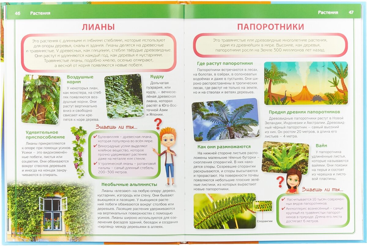 Энциклопедия для детей, которым всё интересно - фото №4