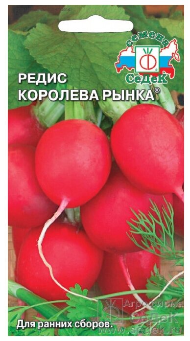 Семена Редиса 
